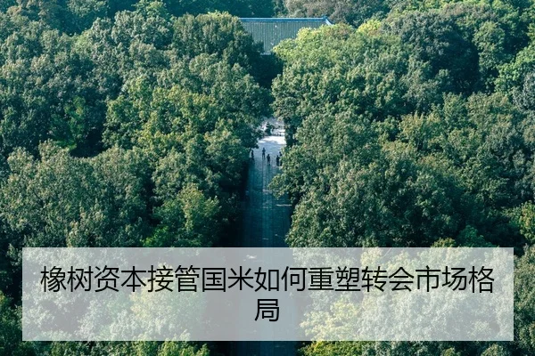橡树资本接管国米如何重塑转会市场格局