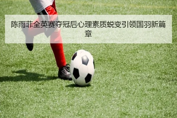 chen-yu-fei-quan-ying-sai-duo-guan-hou-xin-li-su-zhi-tui-bian-yin-ling-guo-yu-xin-pian-zhang-3-728.jpg