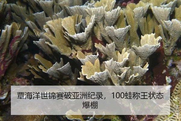 tan-hai-yang-shi-jin-sai-po-ya-zhou-ji-lu-wa-cheng-wang-zhuang-tai-bao-peng-2-655.jpg