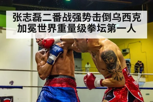 boxing knockout punch
